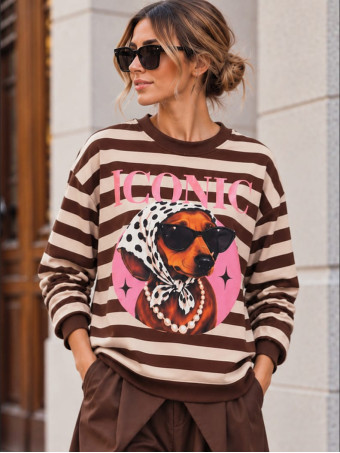 Sudadera Soft Touch Rayas ICONIC Marrón HEVE