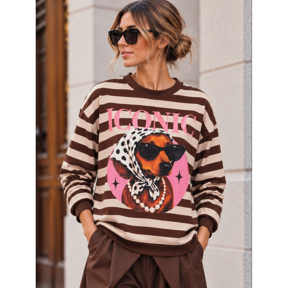 Sudadera Soft Touch Rayas ICONIC Marrón HEVE